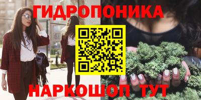 дмт Будённовск