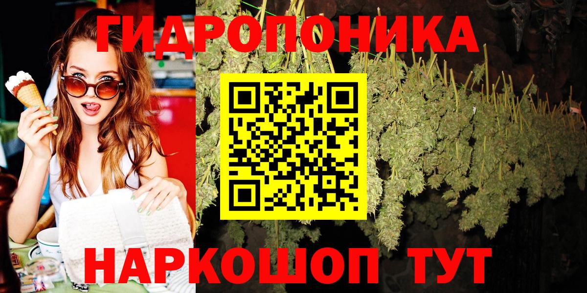 Шишки марихуана марихуана Острогожск